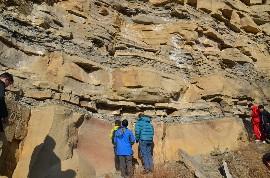太阳城官网(中国)集团有限公司