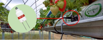 太阳城官网(中国)集团有限公司